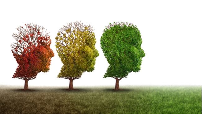 4 Tanda Penuaan Otak yang Perlu Anda Ketahui