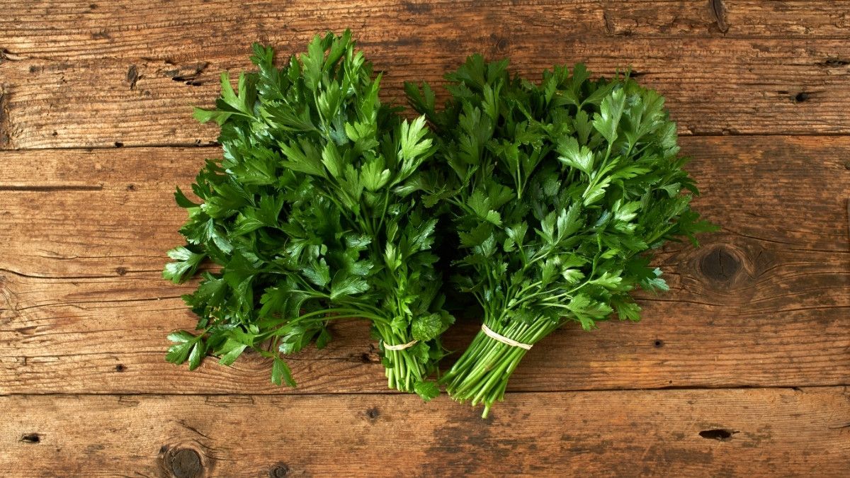 Manfaat Peterseli atau Parsley bagi Kesehatan Anak