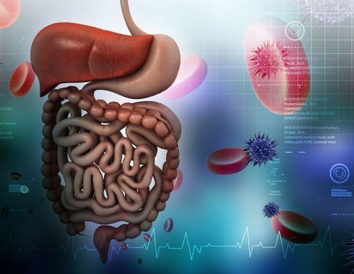 Mengenal Transplantasi Pankreas untuk Mengobati Diabetes