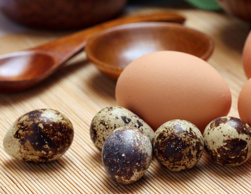 Telur Puyuh vs Telur Ayam, Mana yang Kolesterolnya Lebih Tinggi?