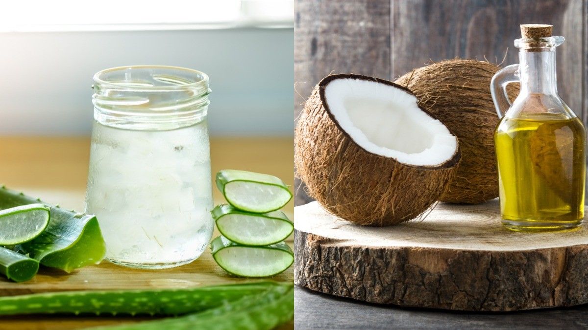 Aloe Vera atau Minyak Kelapa, Mana yang Terbaik untuk Pelumas Seks?