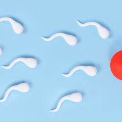 8 Ciri Sperma yang Sehat untuk Mempercepat Kehamilan