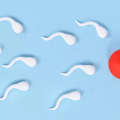 8 Ciri Sperma yang Sehat untuk Mempercepat Kehamilan