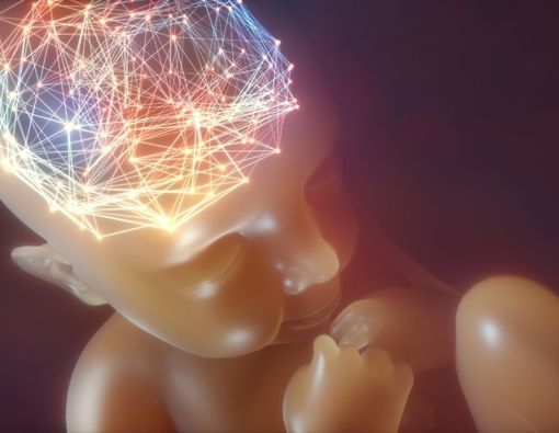 Kenali Anensefali, Saat Bayi Lahir Tanpa Otak yang Lengkap