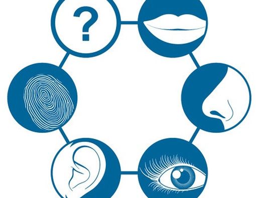 Sixth Sense Menurut Pandangan Medis