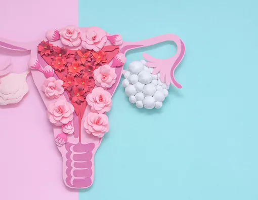 Tanda Kista Ovarium Dilihat dari Vagina