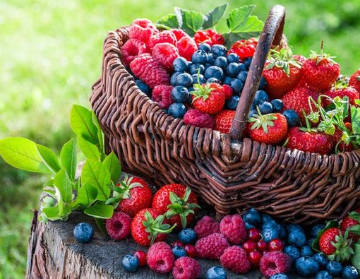 Berries, Buah untuk Jaga Kualitas Ingatan Anda