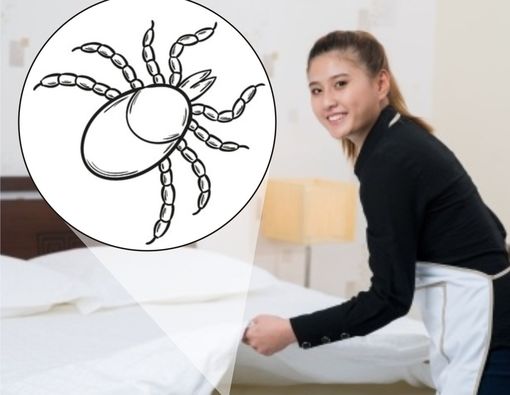 3 Alasan Utama Anda Harus Mengganti Sprei Kasur