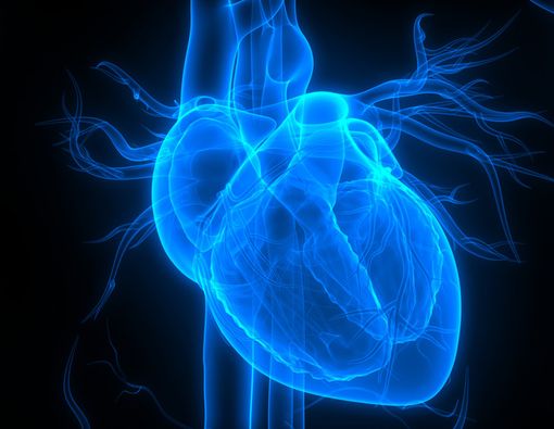 Berbagai Faktor Risiko Penyakit Jantung yang Tak Terduga