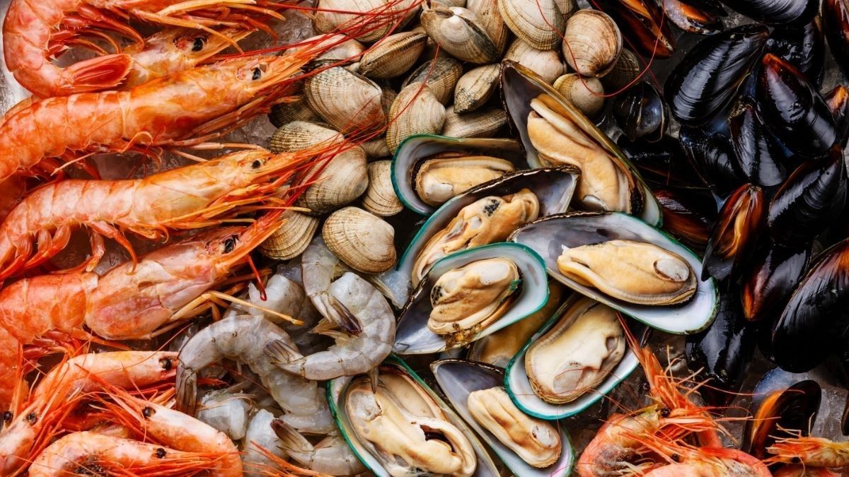 Daftar Seafood yang Baik untuk Tumbuh Kembang Otak Anak