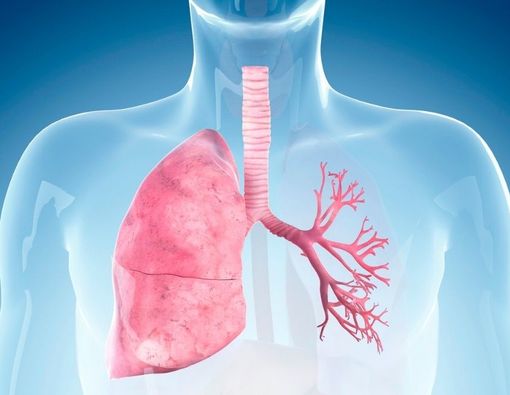 Bisakah Manusia Hidup dengan Sebelah Paru? Ini Faktanya