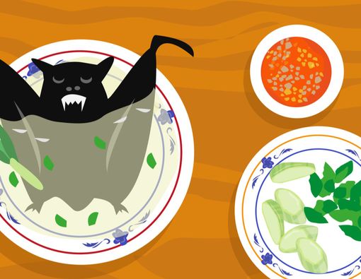 Ini Manfaat dan Bahaya Makan Daging Kelelawar