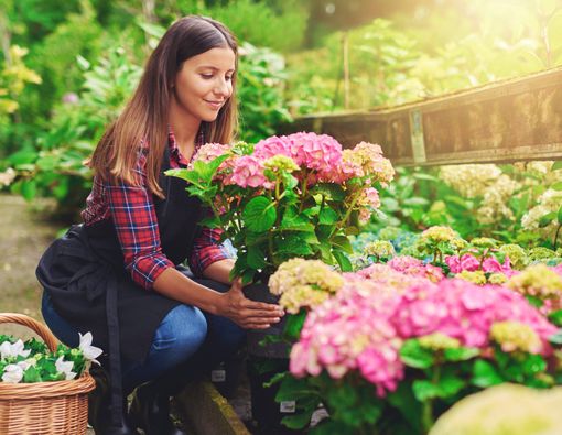 5 Hobi Ini Bikin Anda Tambah Sehat