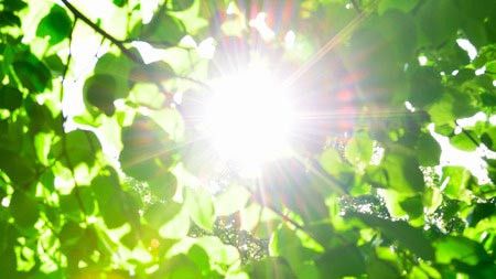 4 Alergi Langka pada Anak