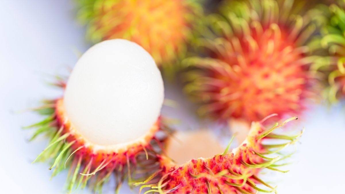 Amankah Makan Rambutan saat Hamil?