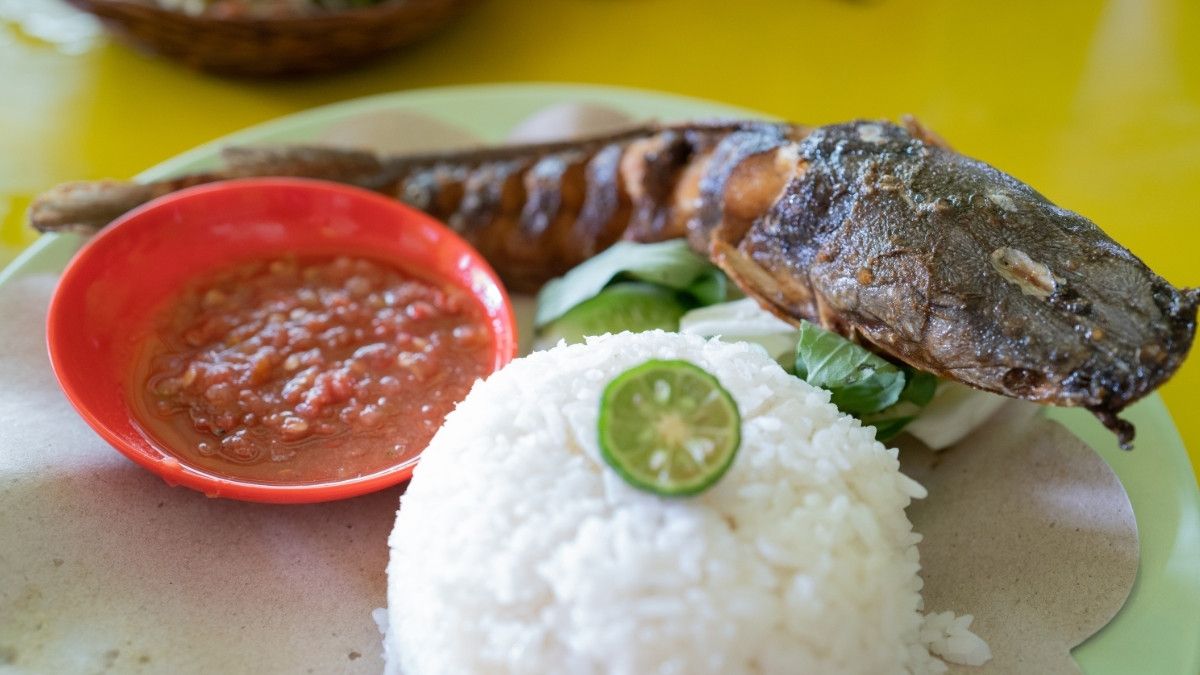 14 Manfaat Ikan Lele untuk Kesehatan, Tak Hanya Lezat!