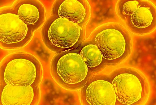 Mengenal Infeksi Chlamydia