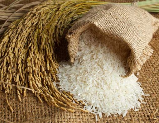 Bahaya Beras Oplosan Bagi Tubuh