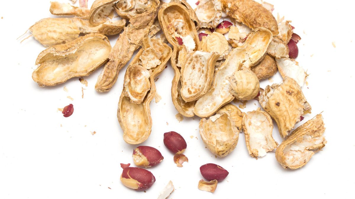 Yakin Kulit Kacang Bisa Bersihkan Karang Gigi? Ini Faktanya