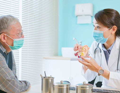 Fungsi dan Cara Kerja Gendang Telinga 