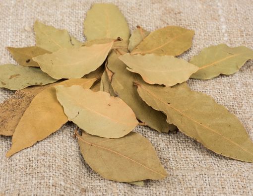 Memutihkan Gigi dengan Daun Salam, Apakah Efektif?