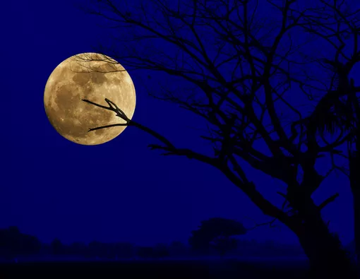 Fakta di Balik Mitos Kesehatan Terkait Supermoon