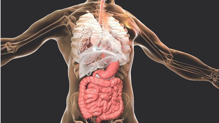 Cara Alami Menjaga Kesehatan Pencernaan - KlikDokter