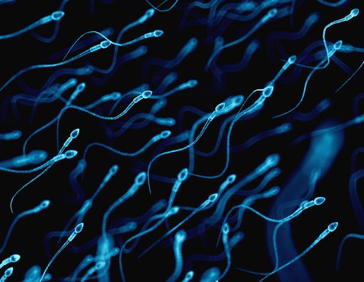 Tips Menjaga Kualitas Sperma