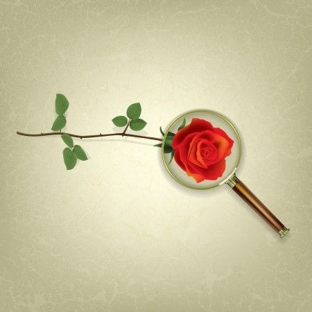 Selaput Dara dan Tes Keperawanan