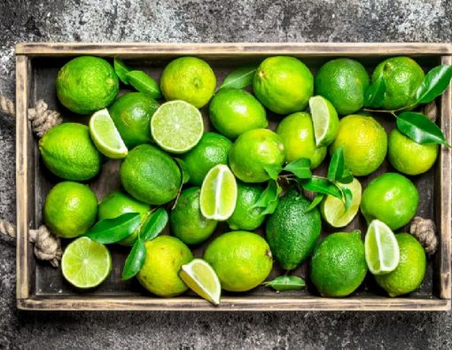 Jeruk Nipis untuk Tingkatkan Kesuburan, Efektifkah?