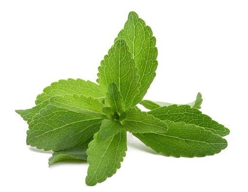 9 Manfaat Daun Stevia untuk Kesehatan Tubuh