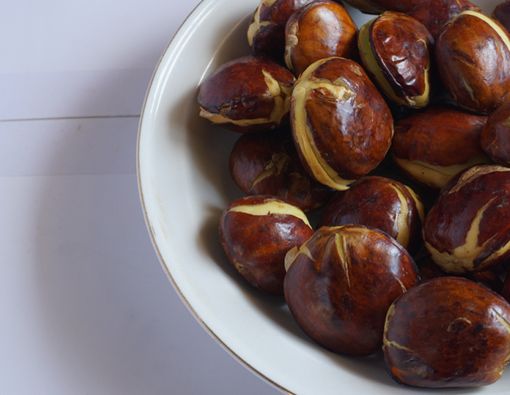 Jengkol, si Bau yang Kaya Vitamin!