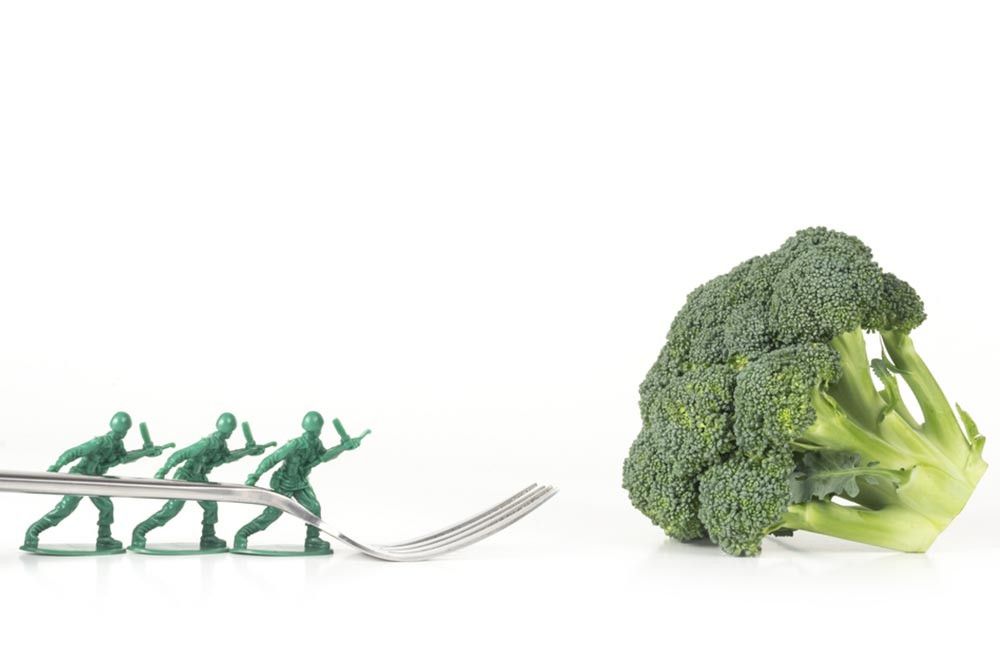 Turun 5 Kg Dalam Seminggu Berkat Military Diet, Amankah?