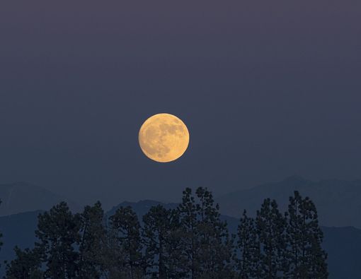 Benarkah Supermoon Berdampak pada Pasien Autoimun?