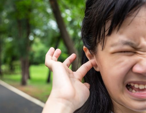 Telinga Kemasukan Serangga, Bagaimana Mengatasinya?