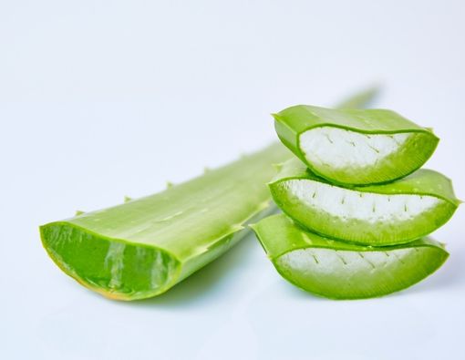 Obat Herbal yang Diklaim Bermanfaat untuk Pasien HIV/AIDS