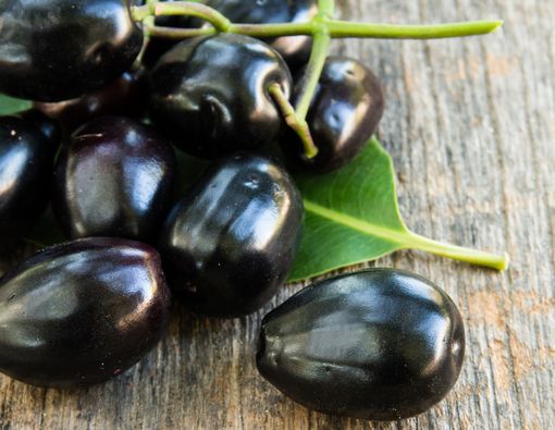 Sederet Manfaat Buah Jamblang yang Jarang Diketahui Orang