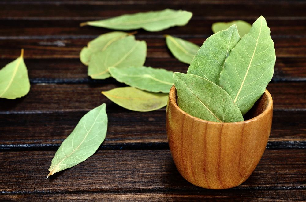 Khasiat Daun Salam untuk Kesehatan, Selain sebagai Bumbu Dapur