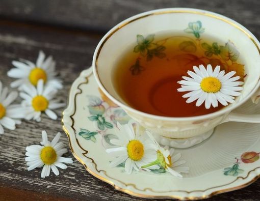 Tanaman Herbal yang Konon Bermanfaat untuk Anak