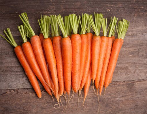 Makan Wortel Bikin Sakit Kuning?