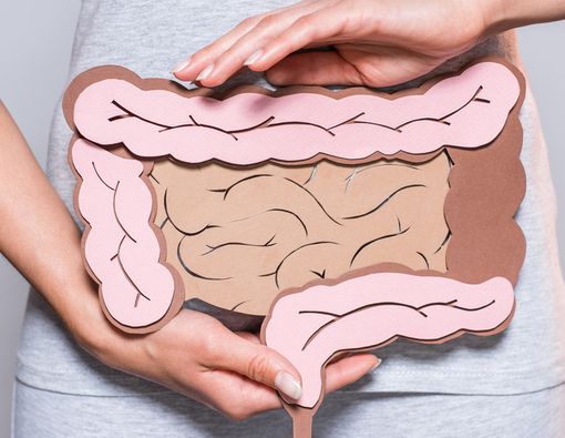 Pencernaan Sehat Daya Tahan Tubuh Meningkat? Kok Bisa?