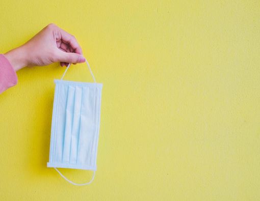 Hati-hati, Kuman Ini Bisa Saja Menghuni Tembok Rumah Anda