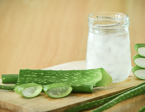 13 Manfaat Lidah Buaya untuk Kesehatan