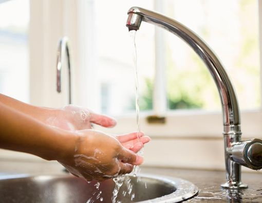 Tangkal Flu Unta, Tiru Jurus Jitu Penduduk Arab Saudi