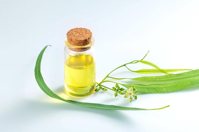 Mengapa Orang Suka Pakai Minyak Kayu Putih saat Kedinginan?