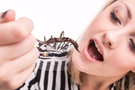 Makan Serangga Dapat Mencegah Kegemukan Badan