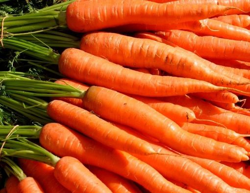 Manfaat Makan Wortel untuk Menurunkan Risiko Kanker Payudara