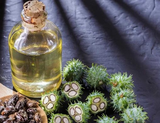 Manfaat Minyak Jarak untuk Kesehatan