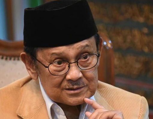 Ibu, Makan Ikan Bisa Bikin Anak Genius seperti BJ Habibie, Lo!