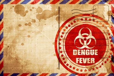 Kerugian Ekonomi Akibat Infeksi Dengue